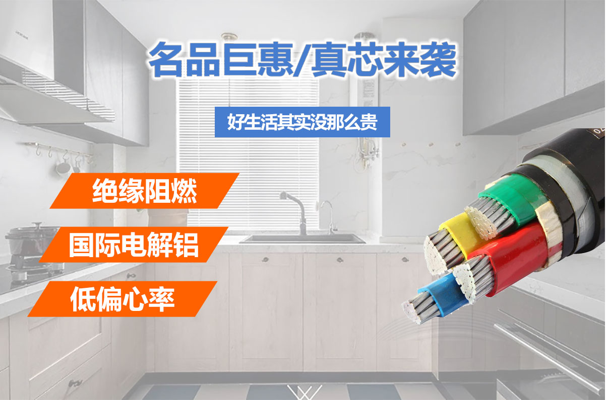 铝芯电缆(图3)